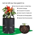 thumbnail image 3 of Pebbuoy Non-woven Planting Bag Outdoor Garden Plant Pot with Reinforced Handles Large Capacity Breathable Tomato Potato Grow Bag, 3 of 7