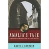 Amalia's Tale: A Poor Peasant, an Ambitious Attorney, and a Fight for Justice (Hardcover) by Professor David I Kertzer