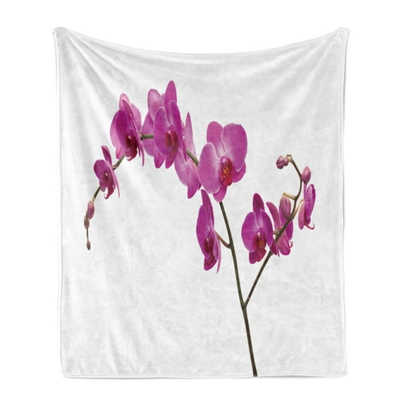 Magenta Soft Flannel Fleece Throw Blanket, Wild Orchids Petal Florets Branch Romantic Flower Exotic Plant Nature Print, Cozy Plush for Indoor and Outdoor Use, 50" x 60", Violet, by Ambesonne