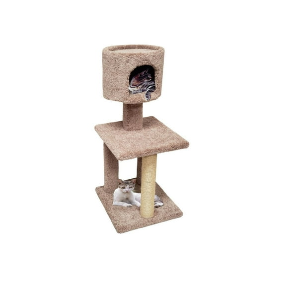 Tour à chat Setarius