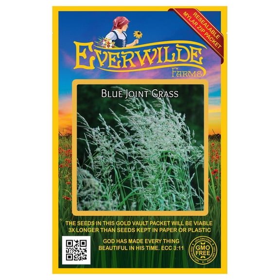 Everwilde Farms - 1000 Blue Joint Grass Native Grass Seeds - Gold Vault Seed Packet