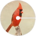 thumbnail image 1 of FMSHPON Northern Cardinal Xmas Christmas Tree Skirt Stand Mat for Holiday Party Decoration Indoor Outdoor 36 inches, 1 of 6