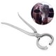 thumbnail image 4 of Alicates para ganado, anillo para nariz de vaca, alicates para vaca, alicates para nariz de vaca, calidad de nivel superior, 4 of 8