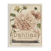 Stupell Industries Pink Lemonade Dahlias Vintage Floral Seed Packet Botanical & Floral Painting Unframed Art Print Wall Art, 13 x 19