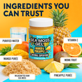 thumbnail image 6 of Biolore Superfood Natural Jam No Added Sugar | Mango Pineapple 8 oz | Jelly Spread with Sea Moss Gel & Fruit Purée | Vegan, GMO Free, Made in the USA, 6 of 7