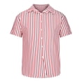 thumbnail image 3 of RYRJJ Men's Casual Classic Fit Striped Dress Shirts Short Sleeve Button-Up Turndown Collar Cotton Shirt(Hot Pink,L), 3 of 5