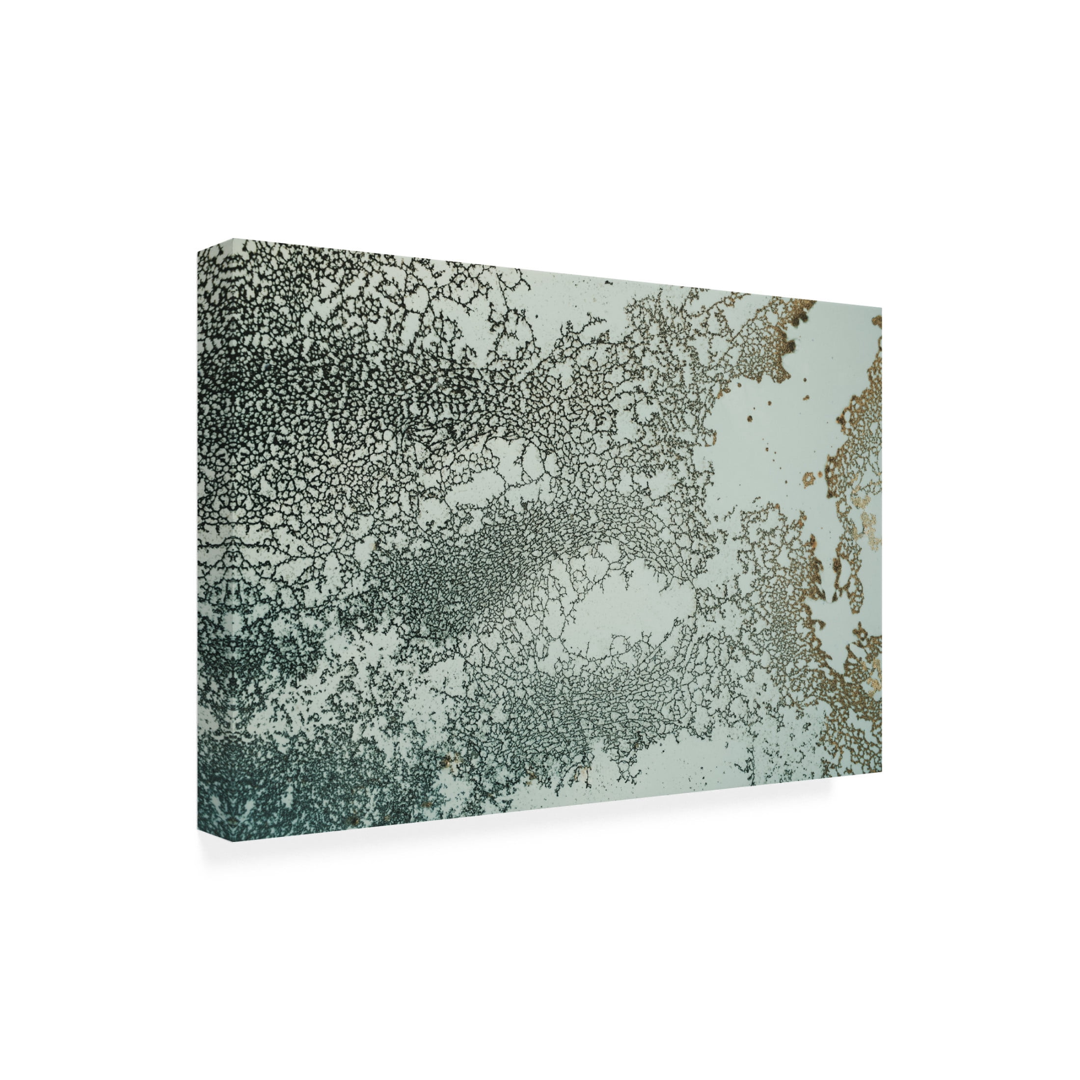Canvas Wall Art - Petra Meikle de Vlas 'Synchronize' Wall Art for Living Room, Bedroom, or Office Décor by Trademark Fine Art - 24 x 16 Inches
