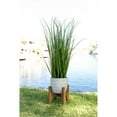 thumbnail image 3 of Flora Bunda CS4547E-WH 50 in. Onion Grass in 10 in. Cathdral Ceramic on Stand, White, 3 of 5