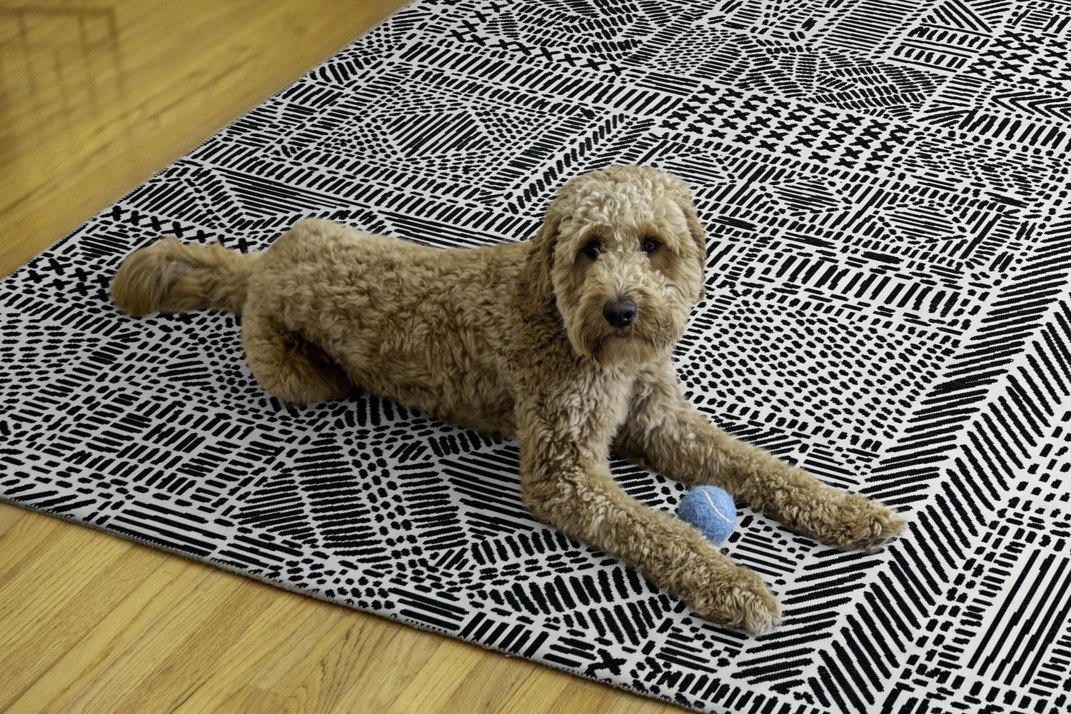 Cayden 5' x 7' Washable Area Rug, Ivory and Black