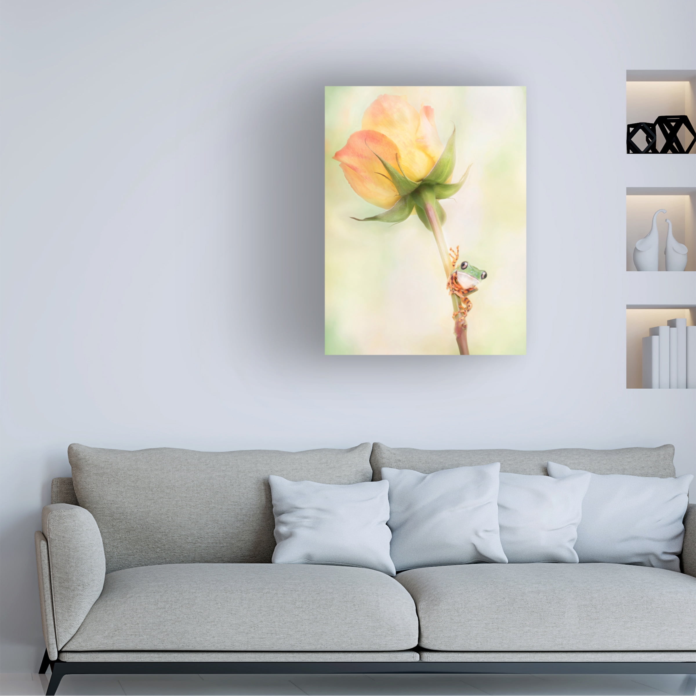 Linda D Lester 'Tiger Leg Monkey Tree Frog' Canvas Art