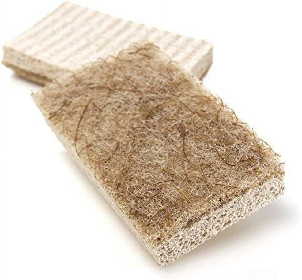  Scotch-Brite Greener Clean - Esponja de limpieza resistente, 3  esponjas para fregar : Salud y Hogar