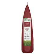 Scotts Turf Builder Grass Seed Sunny Mix, 2.4 lbs.
