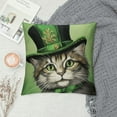 thumbnail image 2 of ARISTURING  St Patricks Day Pillow Cover Cat Green Hat Shamrock Decor Farmhouse Holiday Spring Pillow Case Decorations for Home Sofa Couch, 2 of 5