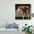thumbnail image 3 of Trademark Fine Art 'Color Square I' Canvas Art by Julie T. Chapman, 3 of 4