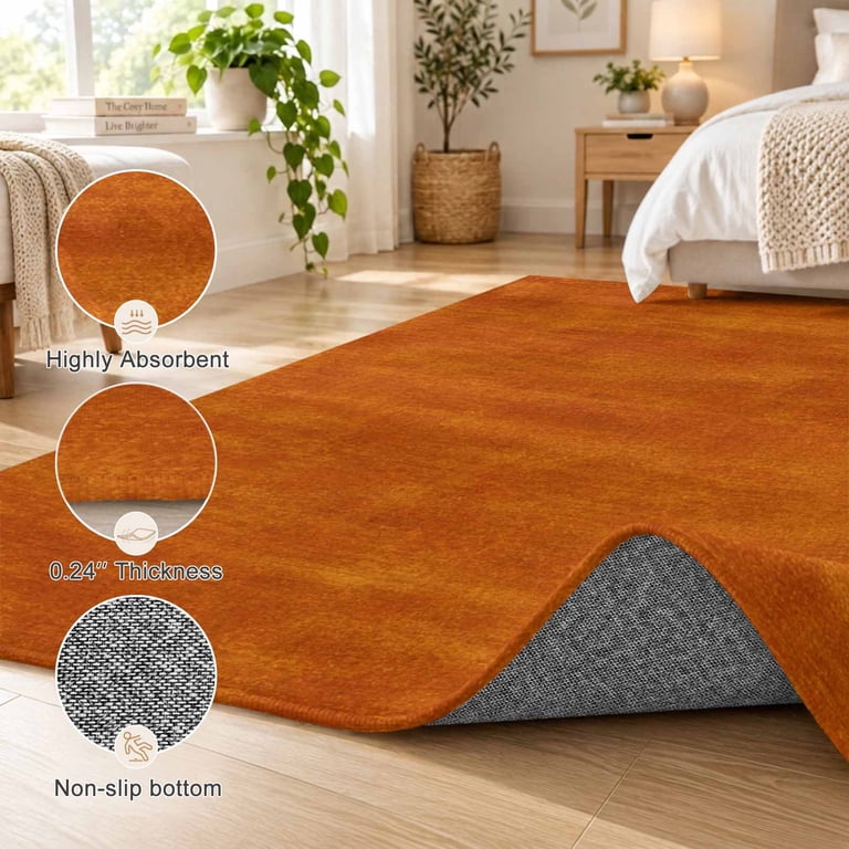 Rectangle Rugs For Kitchen Minimalist Burnt Orange Area Rug 2'x3', Non-Slip Washable Rectangle ...