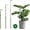 3 Pack, variant on Yhtpouqe 3 Pack Extendable Plant Stakes, 16.5-42.5 Inch Plant Stakes for Indoor Outdoor, Adjustable Monstera Plant Support Sticks with Clips for Clombing Plants, Vine, Orchid, Tomato, Vegetables