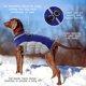 thumbnail image 4 of Abrigo FUAMEY para perro, chaqueta de invierno impermeable, azul, talla XL, 4 of 6