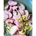 thumbnail image 4 of TomorrowSeeds - Monique French Pink Shallot Sets (Bulbs) - Semi Long Onion Set Fall Spring Planting Gardening Seed 2025 - 1/2 Pound, 4 of 10