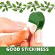 thumbnail image 2 of 30pcs Invisible Plant Clips For Climbing Plants, Self-adhesive Plant Fixing Devices, 2 of 5