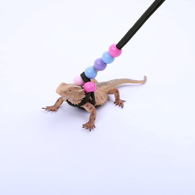 Adjustable Bearded Dragon Leather Harness Leash, Lizard Traction Rope Comfortable Durable Lizard Reptiles Harness Leash For Amphibians And Other Small Pet Animals