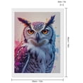 thumbnail image 2 of Diamond Art Kits for Adults - Colorful Owl Art Portrait Background 5d Diamond Painting for Adults, Diamond Art for Adults Beginners, Frameless Diamond Painting Kits for Adults for Home Wall Decor, 2 of 7