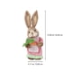 thumbnail image 2 of 1 accesorio para fotos de conejo de Pascua., 2 of 3
