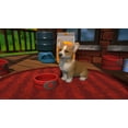 thumbnail image 6 of Little Friends: Puppy Island (Nintendo Switch), 6 of 9