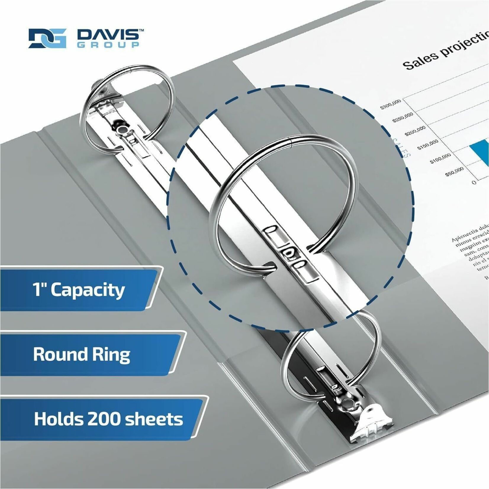 Davis Group Easyview Premium, Round Ring, Customizable, View Binder, 6 Pack (Grey, 1")