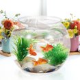 thumbnail image 5 of Milisten Aquarium Transparent Réservoir Multi-Fonction Réservoir Betta Réservoir de Poisson Rouge Décoration de Bureau, 5 of 5