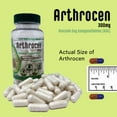 thumbnail image 5 of Arthrocen EVO Vegan Joint Health Supplement, 300Mg Avocado Soy Unsaponifiable, 60 Day Supply, One Capsule Per Day (2 Months), 5 of 8