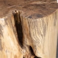 thumbnail image 4 of Uttermost Habitat 20" Coastal Tamarind Wood Counter Stool in Natural, 4 of 5