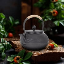 MLINS Vintage Cast Iron Teapot for Stovetop Use Portable Small Black Wrought Iron 0.8L