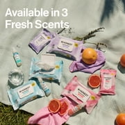The Honest Company Fragrance Free Sanitizing Alcohol Wipes, Antibacterial with Aloe, Kills 99.99% of Germs, 50 Count