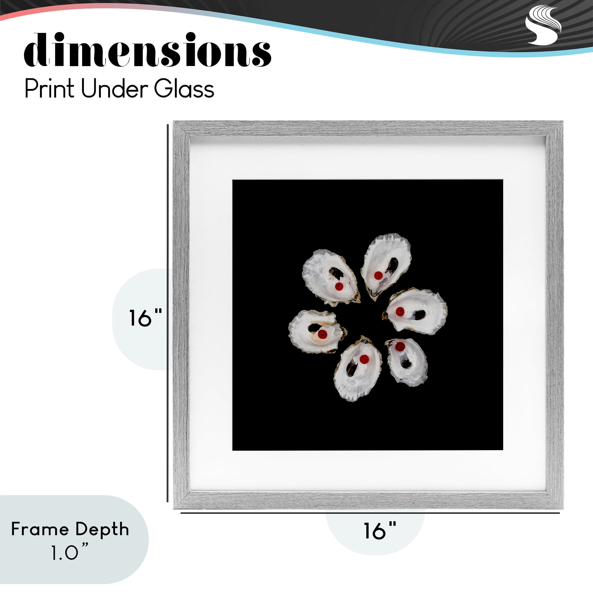 Stupell Industries Oyster Shells Symmetry Gray Framed Print Under Glass, design by Beth Adoette