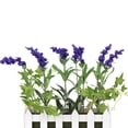 thumbnail image 6 of Northlight 11.75" Flowering Lavender Artificial Plant in Picket Fence Container - Green/Purple, 6 of 8