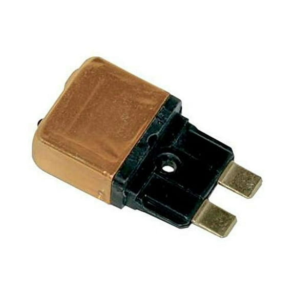 Namz Custom Cycle NCB-MR20