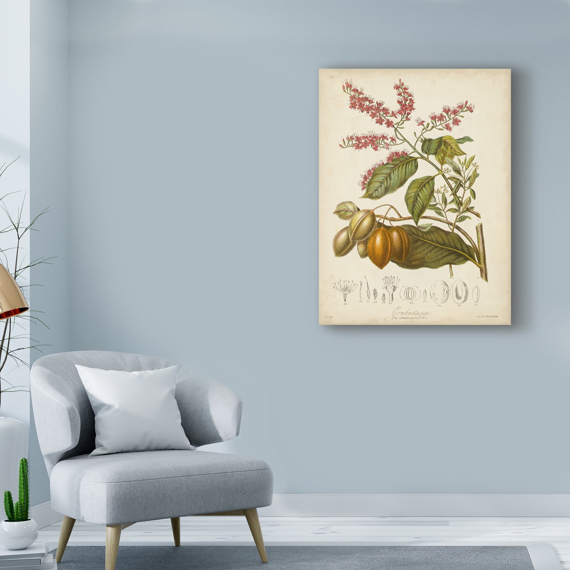 Trademark Fine Art 'Twining Botanicals IV' Canvas Art by Elizabeth Twining
