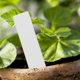thumbnail image 4 of 500 Pcs Reusable Pvc Plant Tag Label Tree Fruit Seedling Garden Flowerpot Plastic Label Sign Sorting, 4 of 5
