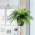 thumbnail image 6 of Set of 2 Large 23-Inch Artificial Fern Hanging Plants, Realistic Looking Faux Ferns for Indoor, Porch, and Farmhouse Entrance Decor, 6 of 7