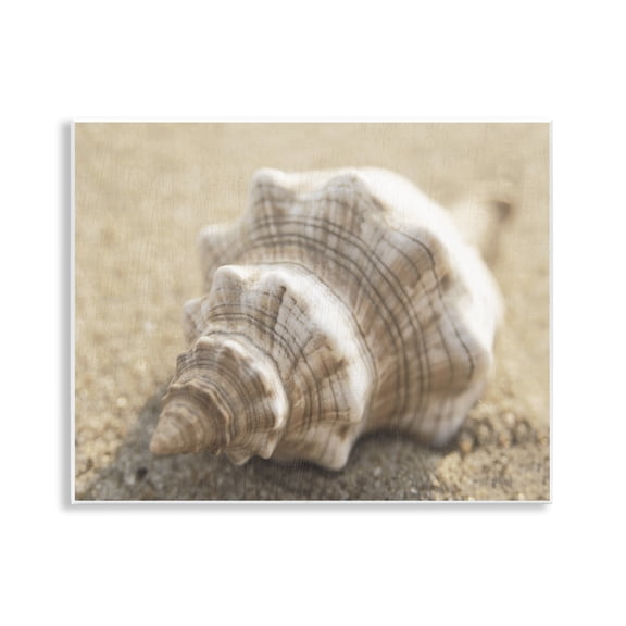 Stupell Industries Neutral Tone Conch Shell Animals Painting Unframed Art Print Wall Art, 14 x 11