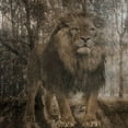 thumbnail image 3 of Lewis, Sheldon 15x15 Black Modern Framed Museum Art Print Titled - Wild Jungle 2, 3 of 5