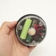 thumbnail image 3 of Apuakthei - Paquete de 2 piezas de repuesto para luz solar, repuesto de luz solar para colgar en exteriores, 3 of 5