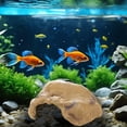 thumbnail image 5 of LLDYYDS Reptile Hides and Caves Simulation Rock Reptile Hideout Terrarium Habitat Décor for Bearded Dragon Lizards Ball Python Snakes One Size, 5 of 5
