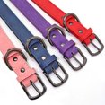 thumbnail image 4 of Pet Artist Personalized Leather Dog Collar Soft Padded Free Engraved Pet Name Number XS-L, 4 of 8
