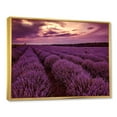 thumbnail image 2 of Designart Sunrise & Dramatic Clouds Over Lavender Field III FLOAT FRAME WALL ART, 2 of 4