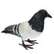 thumbnail image 4 of Paloma Artificial Paloma de Pie Emplumada Realista Gris a + B Sunnimix Artificial Pigeon Decoy, 4 of 8