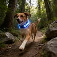 thumbnail image 4 of Collar LED para perros iluminado ajustable 15,75-18,9 in • USB recargable brillo en la oscuridad • 3 modos de luz • collar impermeable de nylon azul verde rojo, 4 of 7