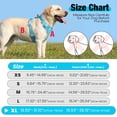 thumbnail image 2 of Jewyow No Pull Dog Harness - Dog harness for small dogs,Reflective Adjustable Pet Vest with Handle & Breathable Mesh,Blue, XL, 2 of 8