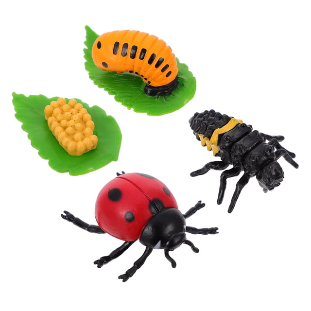 4 figuras de insectos con el ciclo de vida de la mariquita, adornos, divertido juguete para niños