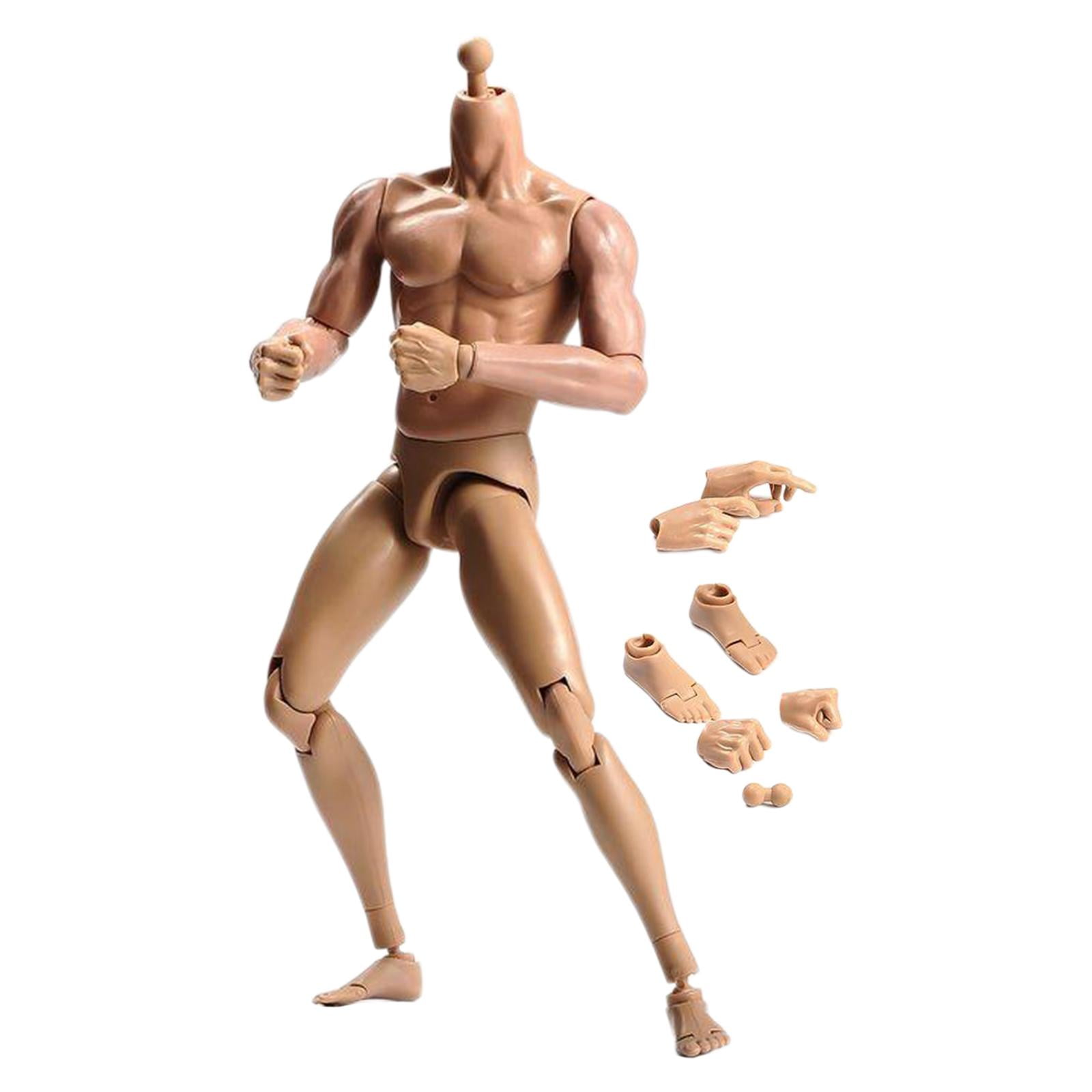 US 1/6 Scale Nude Muscular Skin Male Body Doll 12" Figure Model Toys 